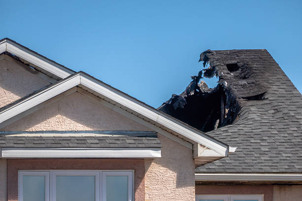 Top rated local Odor Removal specialists in Glendale, WI